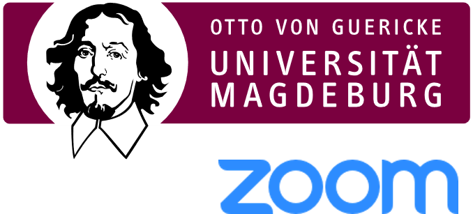 Zoom Logo